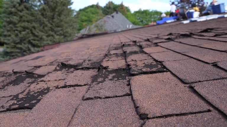 Professional Roofing Service in North Patchogue, NY